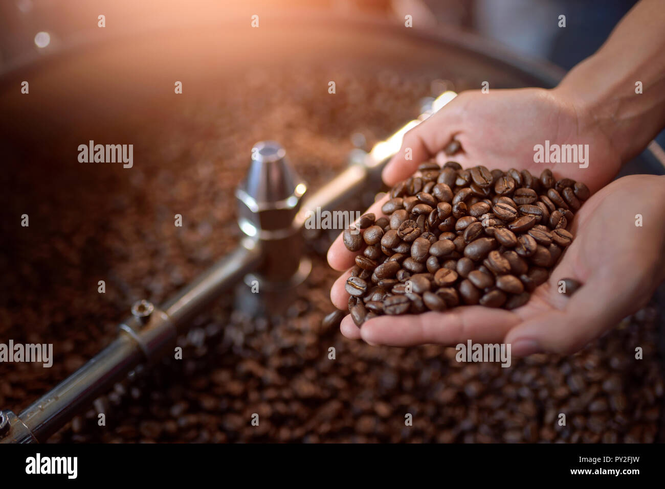 Nahaufnahme der Hand einer Frau mit gerösteten Kaffeebohnen Stockfoto