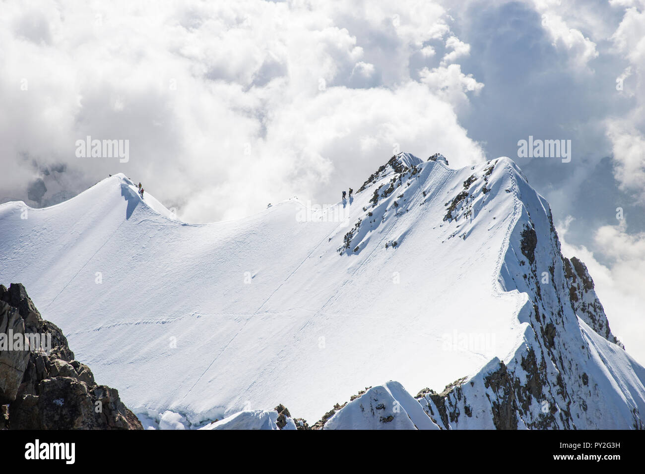 Vier Alpinisten klettern auf den Gipfel des Piz Bernina, Schweiz Stockfoto