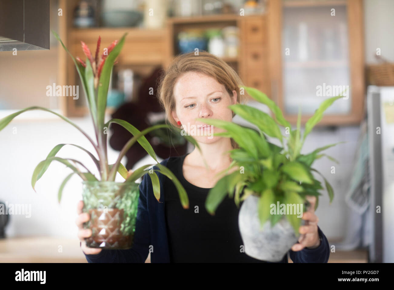 Zwei pflanzen in einem topf -Fotos und -Bildmaterial in hoher Auflösung –  Alamy