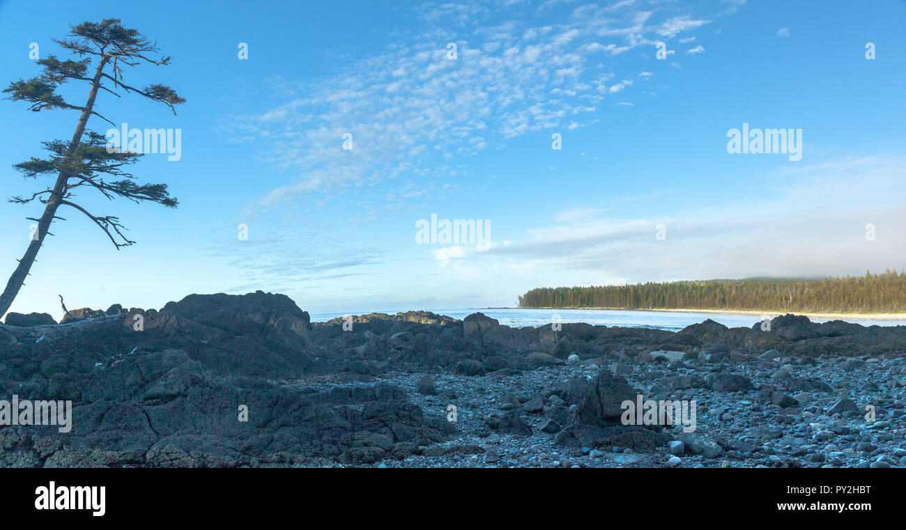 Leere Beach, Cape Scott Provincial Park, British Columbia, Kanada Stockfoto