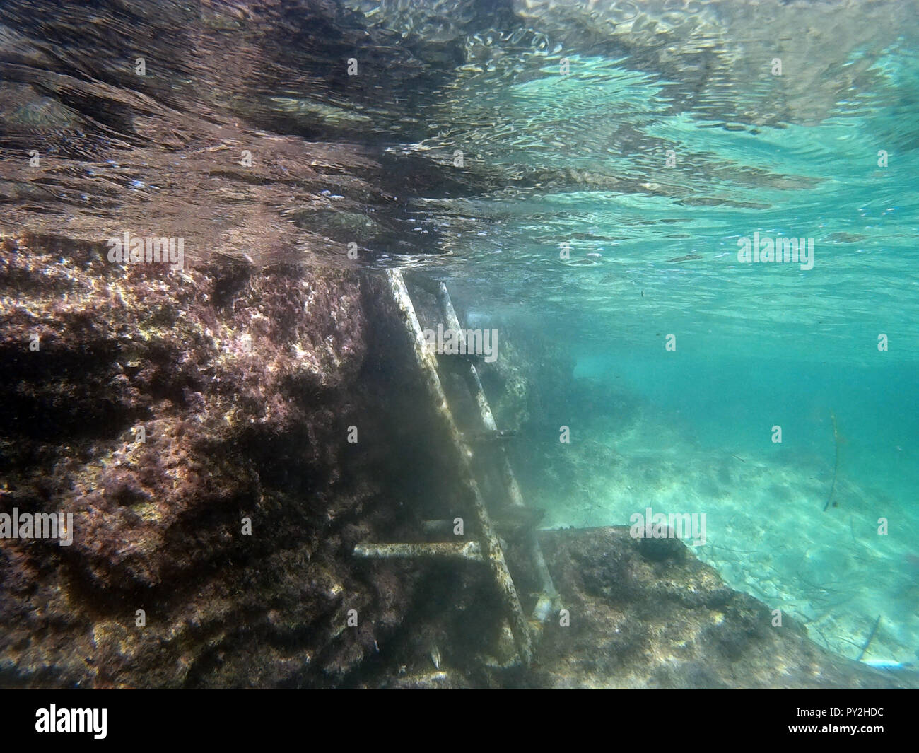 Unterwasser Blick auf eine Leiter zum Felsen im Meer angebracht, Malta Stockfoto