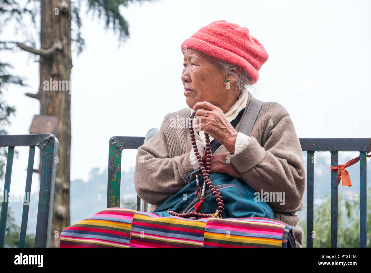 Ältere weibliche tibetische Flüchtling mit Gebetsperlen in Dharamshala, Indien Stockfoto