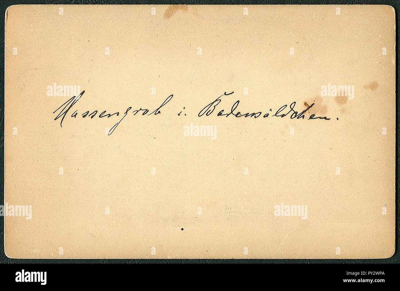 C. Bregazzi Langensalza KAB042, Massengrab im Badewäldchen, Kabinettfotografie 1891, Revers. Stockfoto