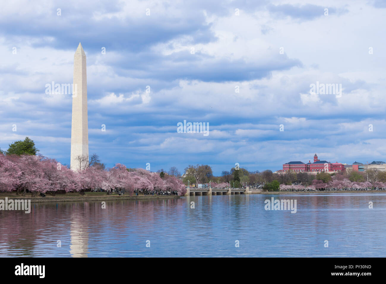 Washington Monument während Cherry Blossom Festival am Tidal Basin, Washington DC, USA Stockfoto