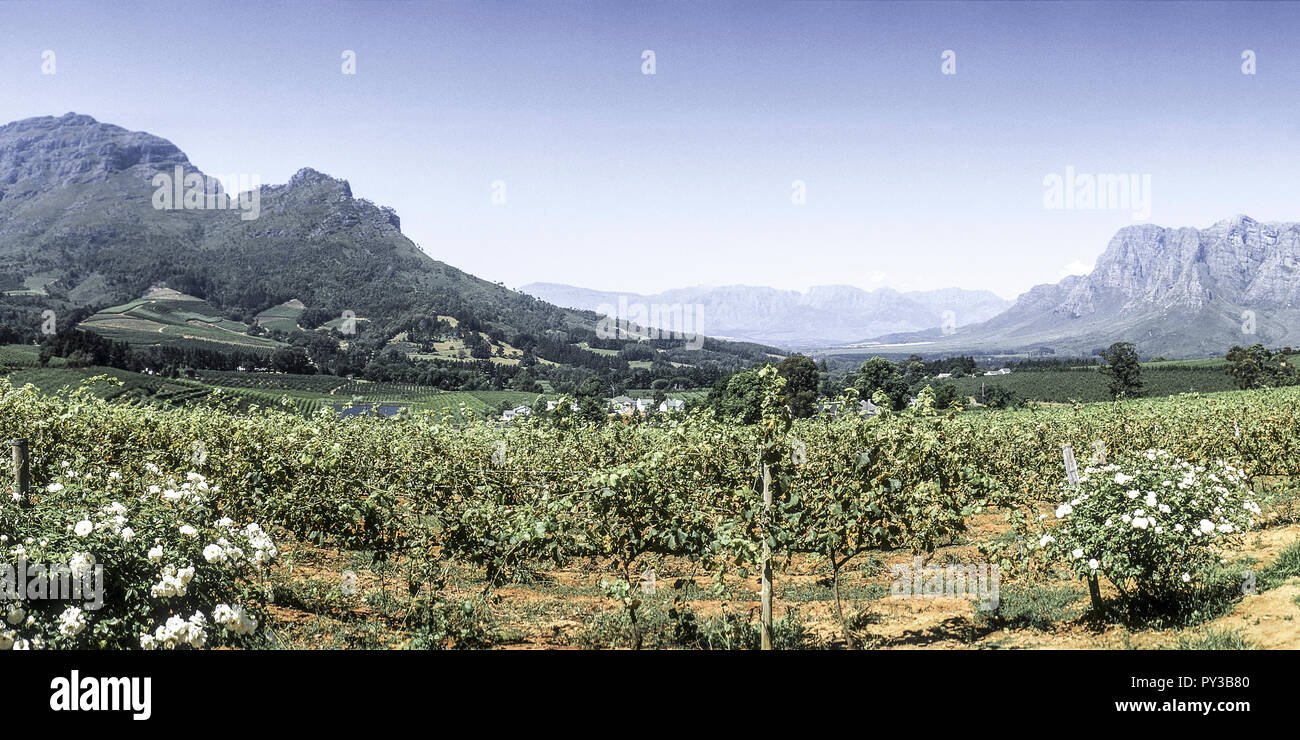 Suedafrika, Weinregion Stockfoto