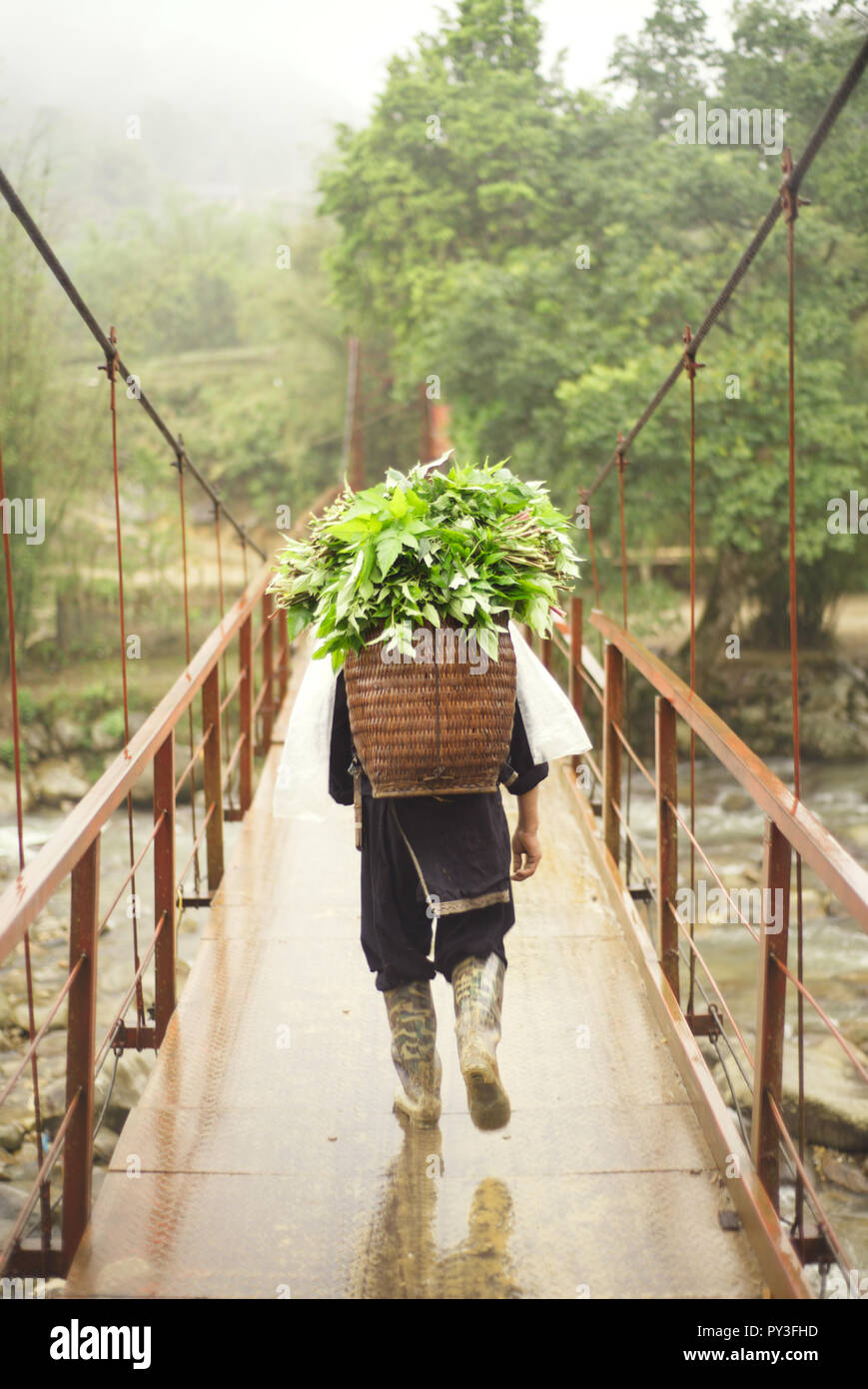 Vietnamesische farmer Kreuzung Hängebrücke in Northern Lao Cai Provinz (in der Nähe von Sapa) mit einem Bündel von Frische Blätter und Gemüse in einem Korb. Stockfoto