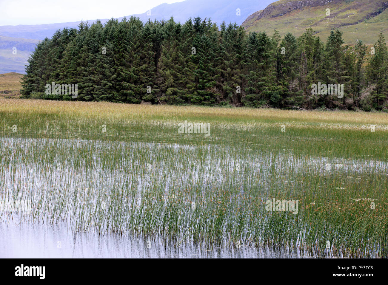 Cill Chriosd Lake Isle of Skye, Innere Hebriden, Schottland, Vereinigtes Königreich Stockfoto