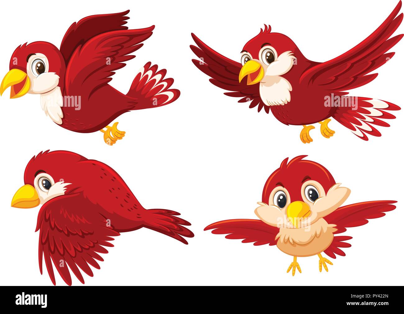 Der Niedliche Rote Vogel Abbildung Stock Vektorgrafik Alamy