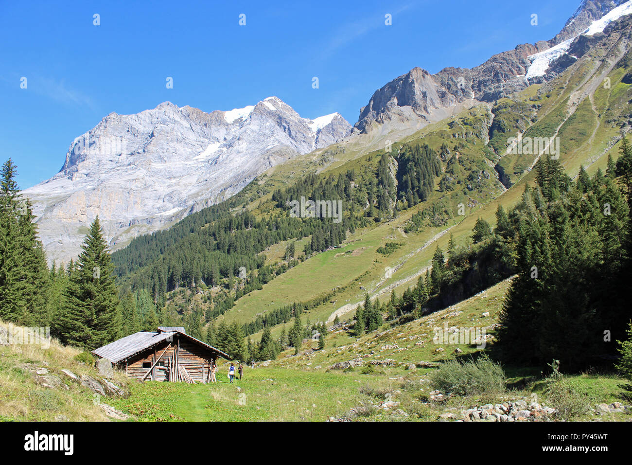 Super Sommer wandern in das Lauterbrunnental abseits der ausgetretenen Pfade in der Jungfrau Region der Schweiz Stockfoto
