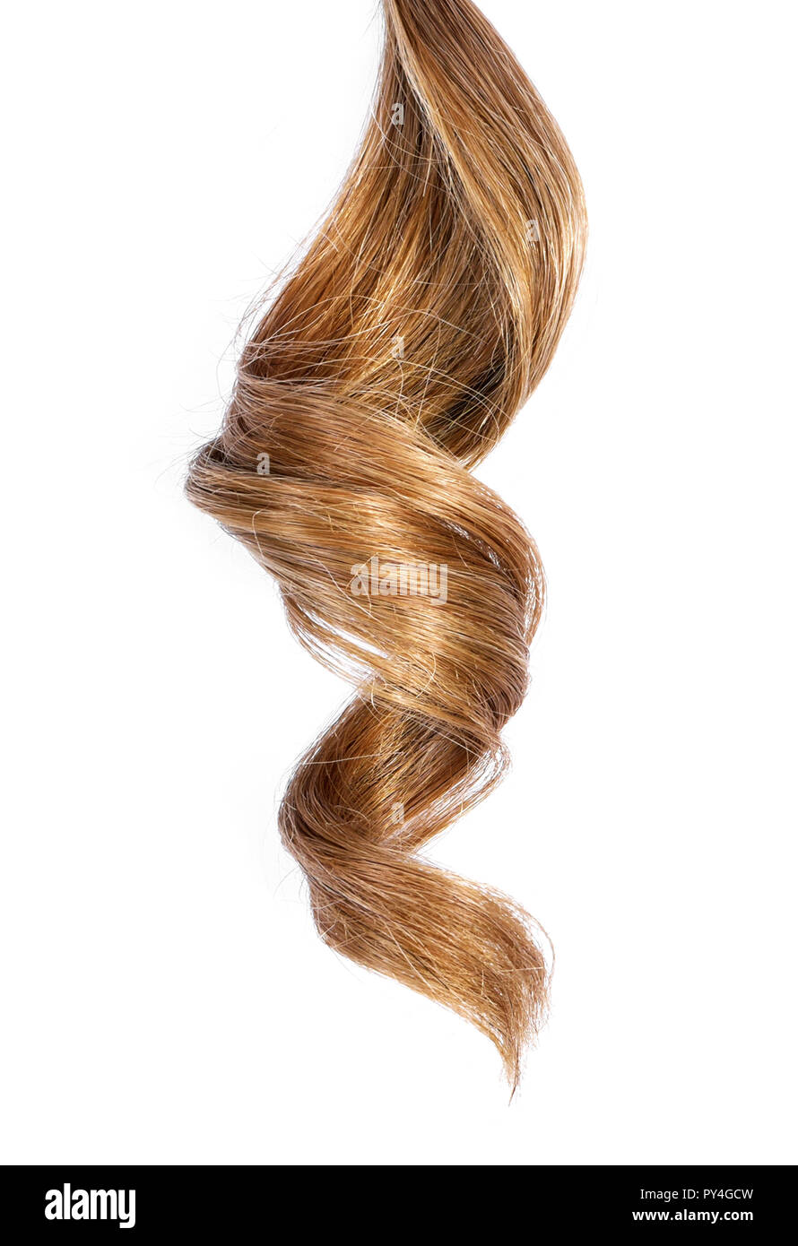 Schöne brünette Haare, auf weißem Hintergrund. Langes braunes Haar Schwanz, lockiges und gesundes Haar, design Element oder die Haare schneiden. Stockfoto