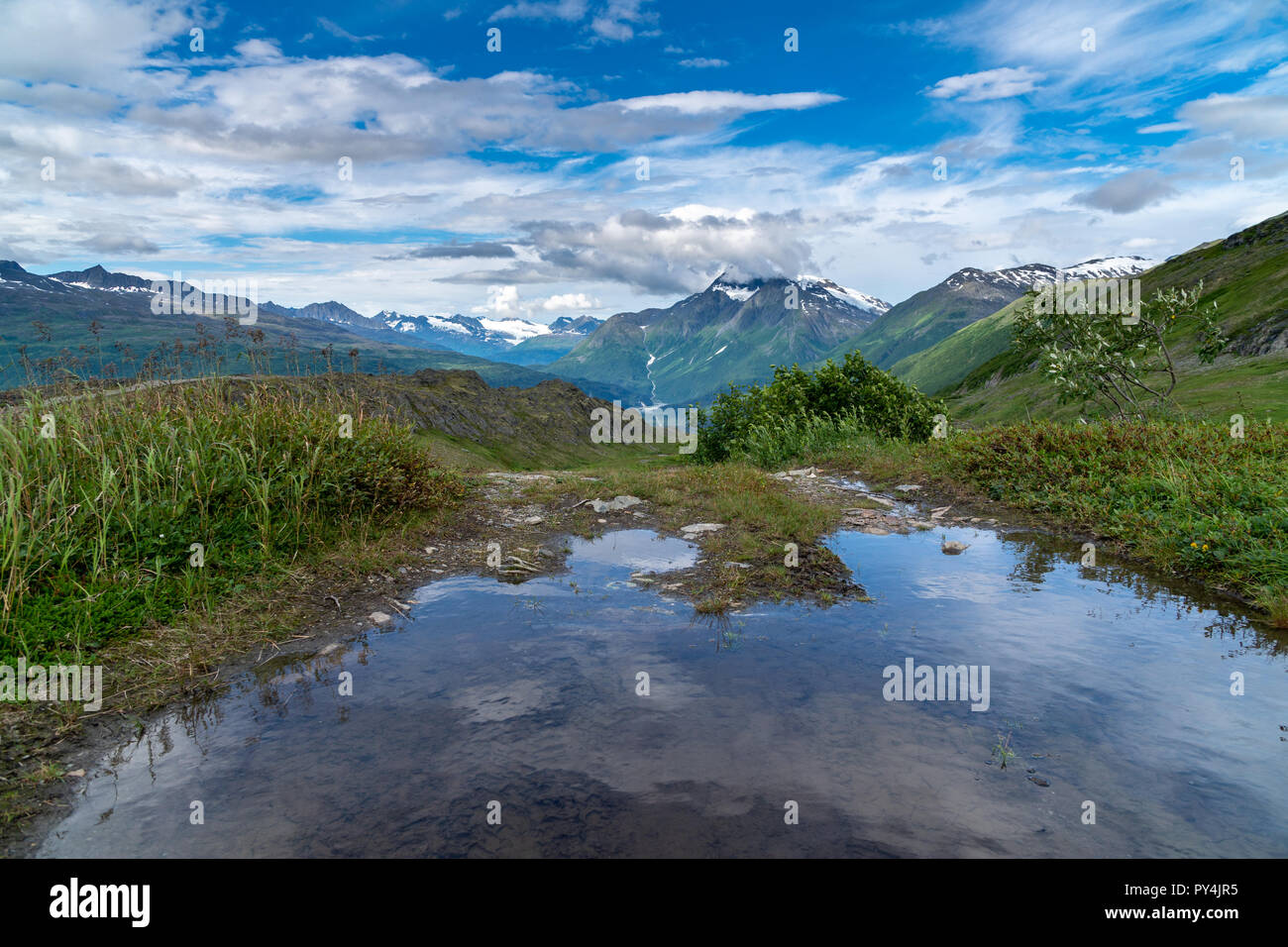 Kleiner Teich entlang den Spuren der '98 aus dem Richardson Highway in der Nähe von Valdez, Alaska. Dies war ein original Trail der Klondike Gold Rush, und geht durch Stockfoto