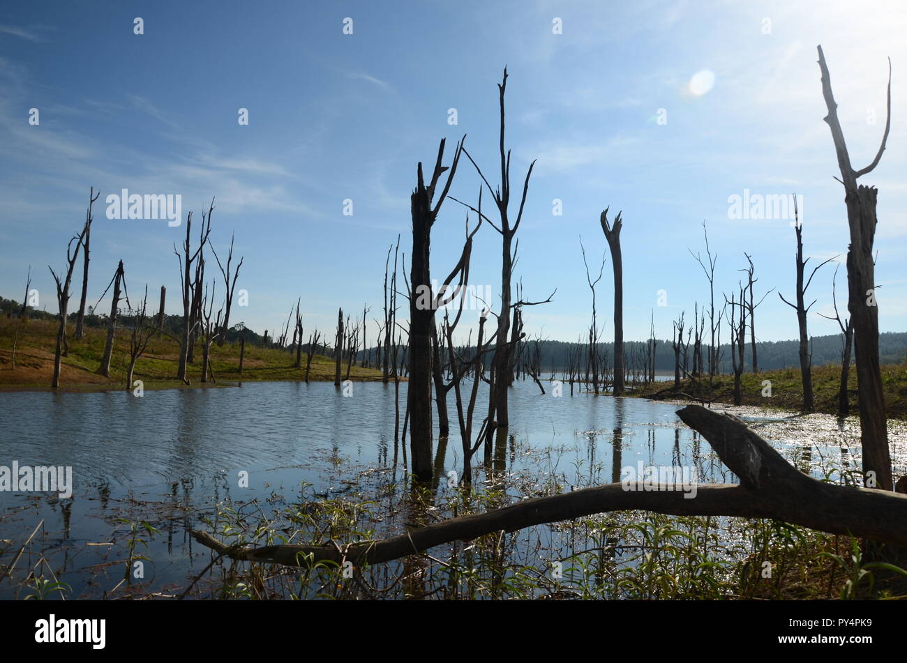 Lake Tinaroo Stockfoto