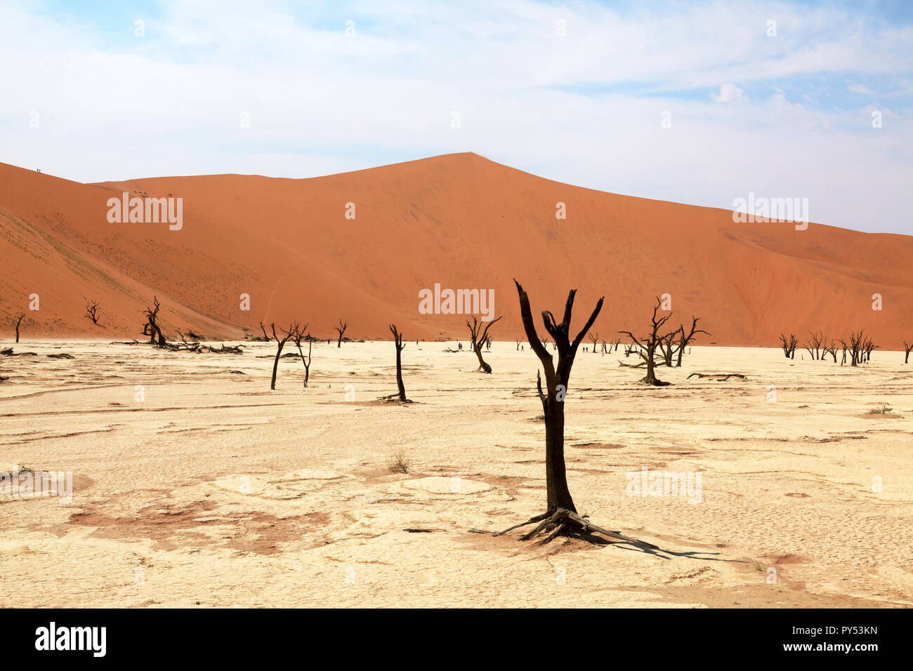 Deadvlei Namibia - Wüste Landschaft mit Bäumen tot für 8000 Jahre in den Dünen der Namib Wüste Namib Naukluft National Park, Namibia Stockfoto