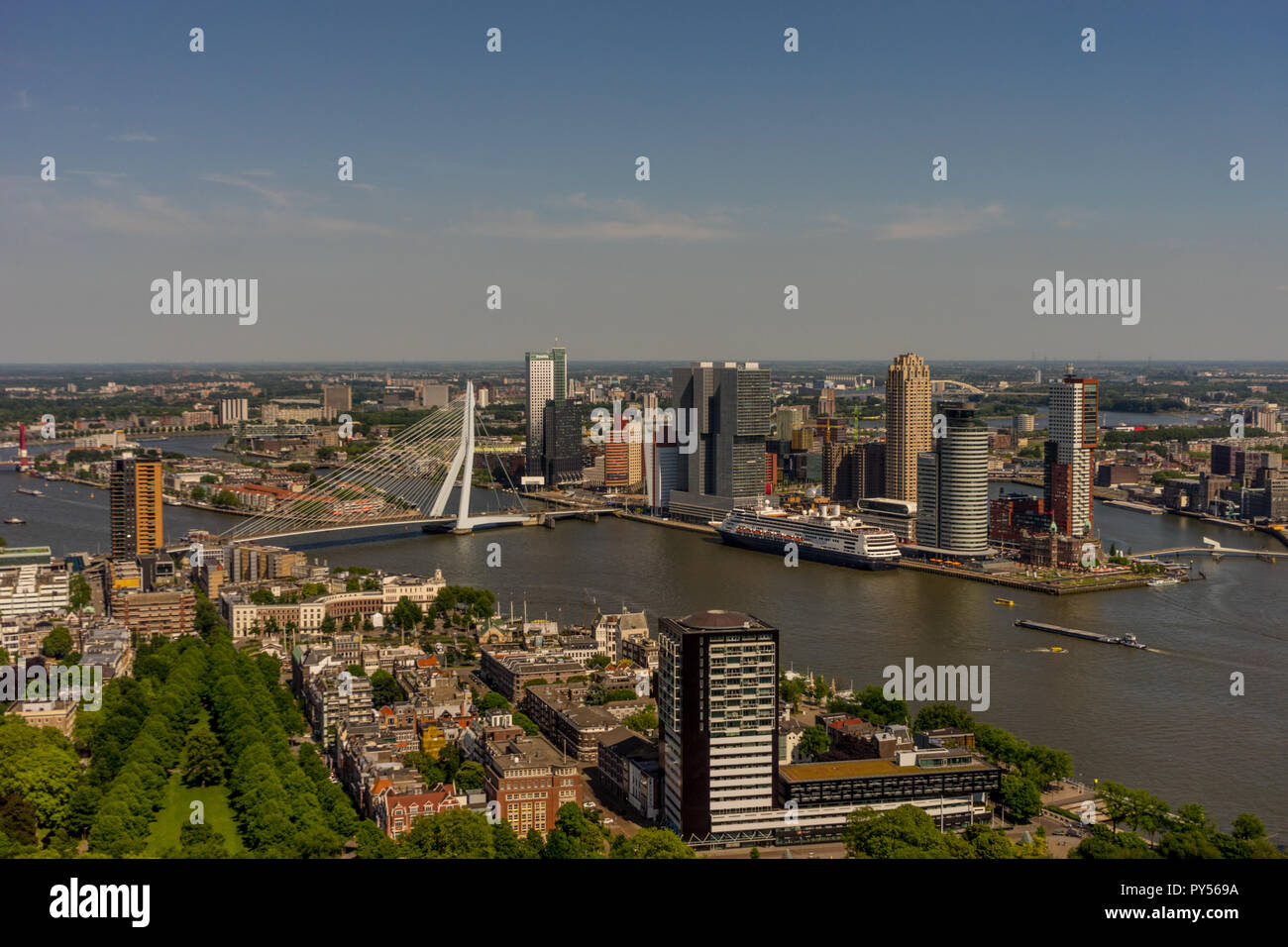 Niederlande, Rotterdam, Stadtbild und Silhouette der Stadt mit Erasmus Brücke Stockfoto