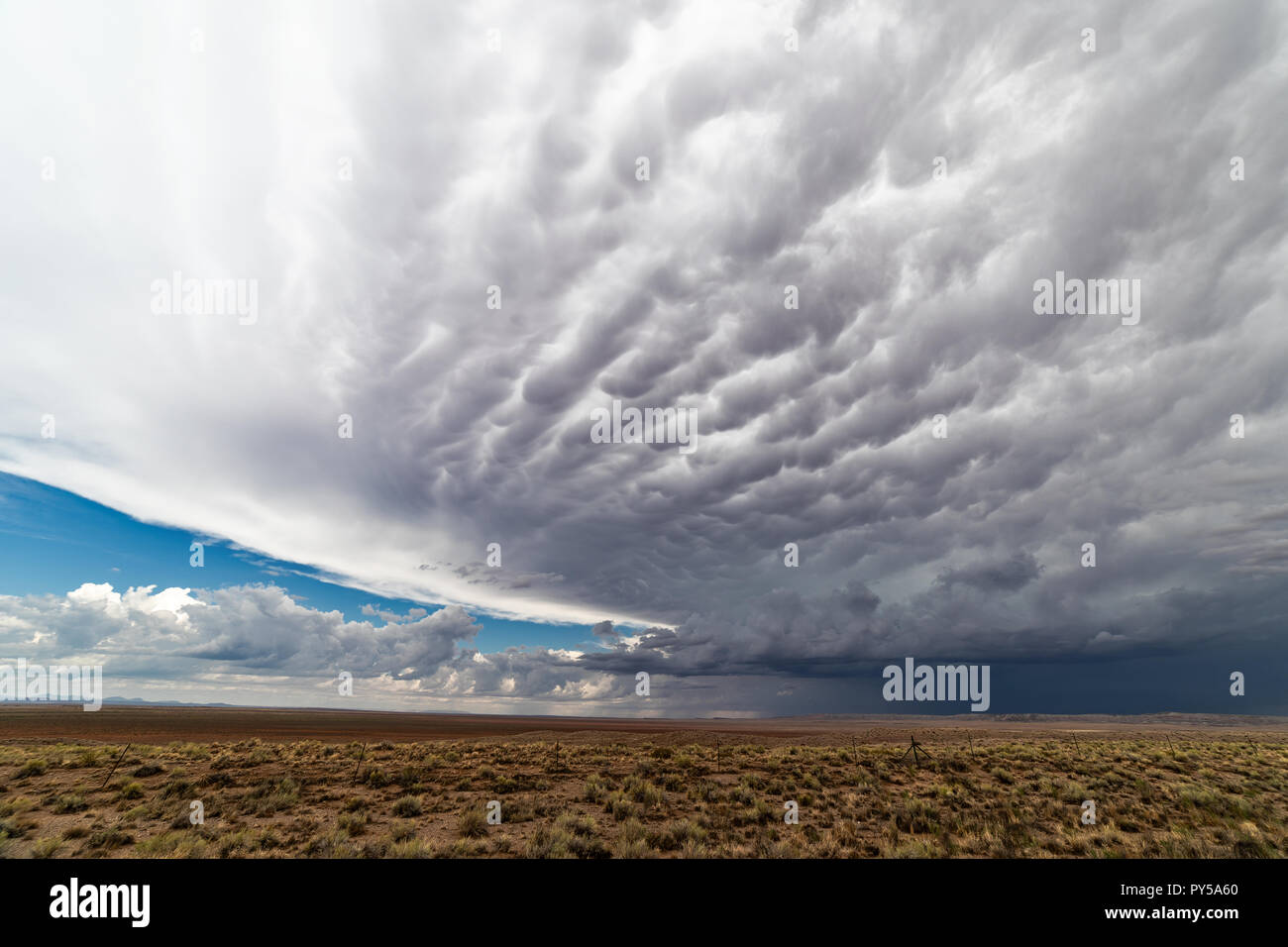 Mammatus Wolken unter einem schweren Gewitter im Nordosten von Arizona Stockfoto