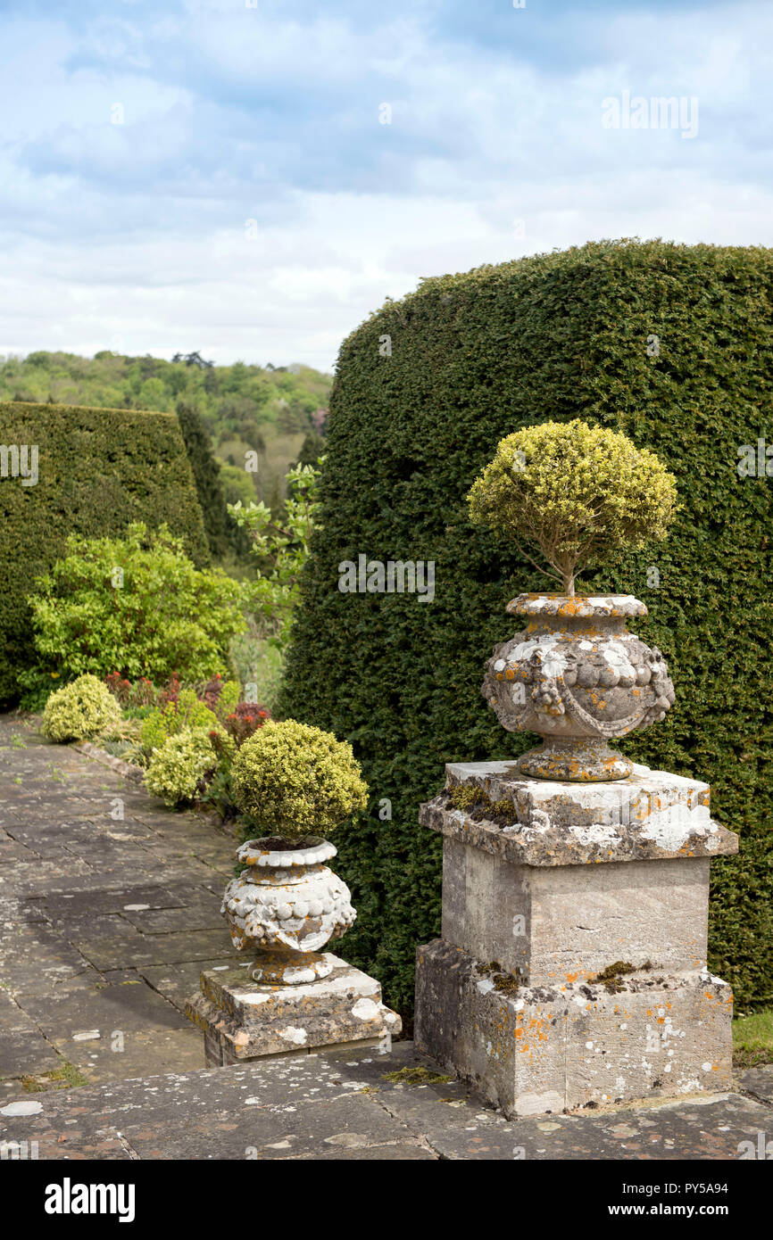 Formgehölze auf der Terrasse an der Miserden Immobilien in Gloucestershire, Großbritannien Stockfoto