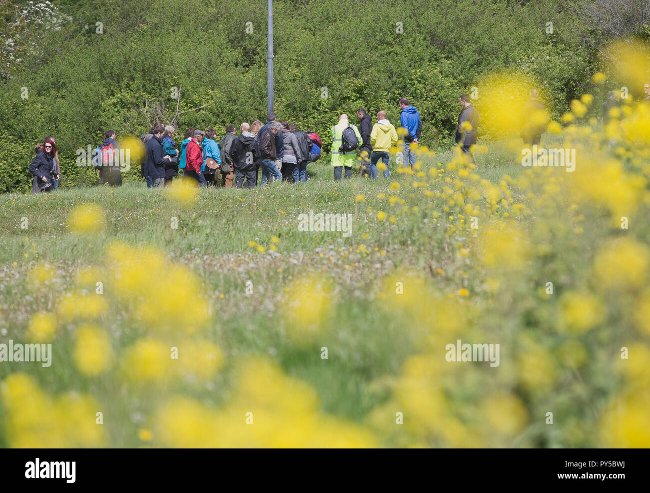 Eine Gruppe von Menschen die Teilnahme an einem Workshop auf Nahrungssuche und Spaziergang mit Blick auf Bristol, Großbritannien Stockfoto