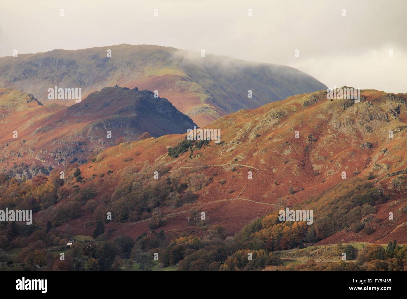 Cumbria GROSSBRITANNIEN. 25. Oktober 2018. UK Wetter. Sonnenschein und Duschen aus Latterbarrow fiel. Blick über den See Windermere. Kredit c Halle/Alamy Leben Nachrichten. Stockfoto
