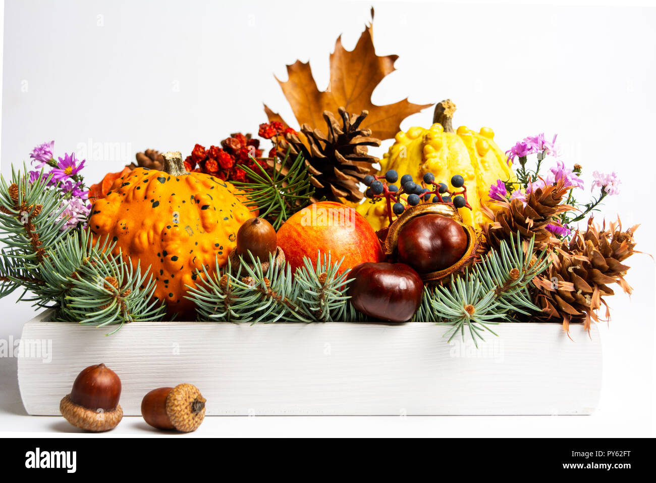 Herbst festliche Symbole in einer Holzkiste Stockfoto