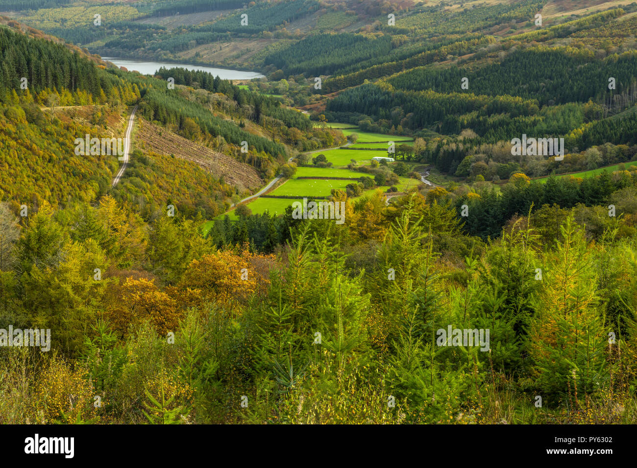 "Talybont Valley so weit wie die talybont Reservoir, Brecon Beacons National Park Stockfoto