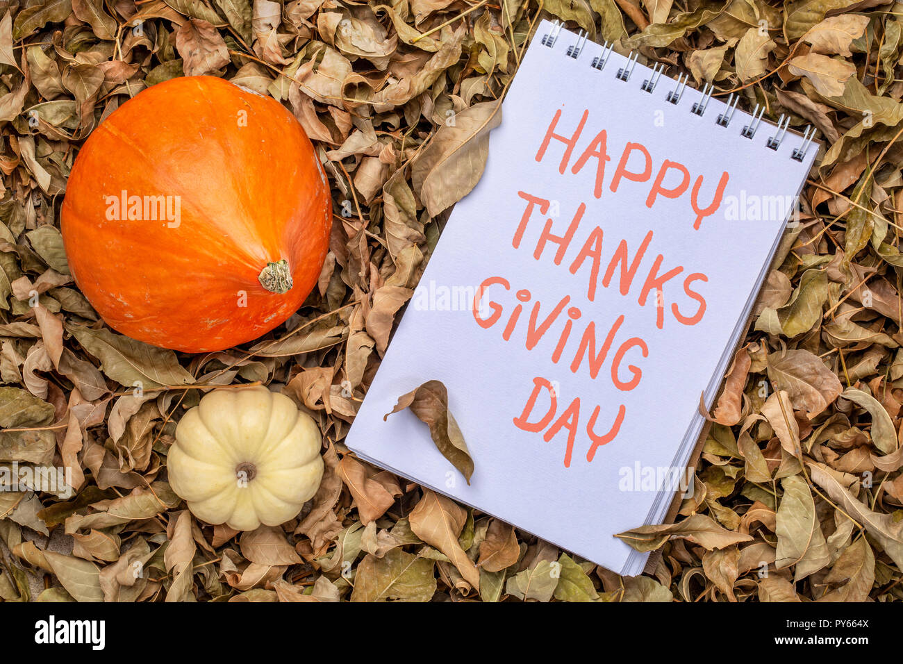 Happy Thanksgiving Day - Handschrift auf eine Art Skizzenbuch gegen trockene Herbst Blätter mit Squash- und Zierpflanzen Kürbis Stockfoto