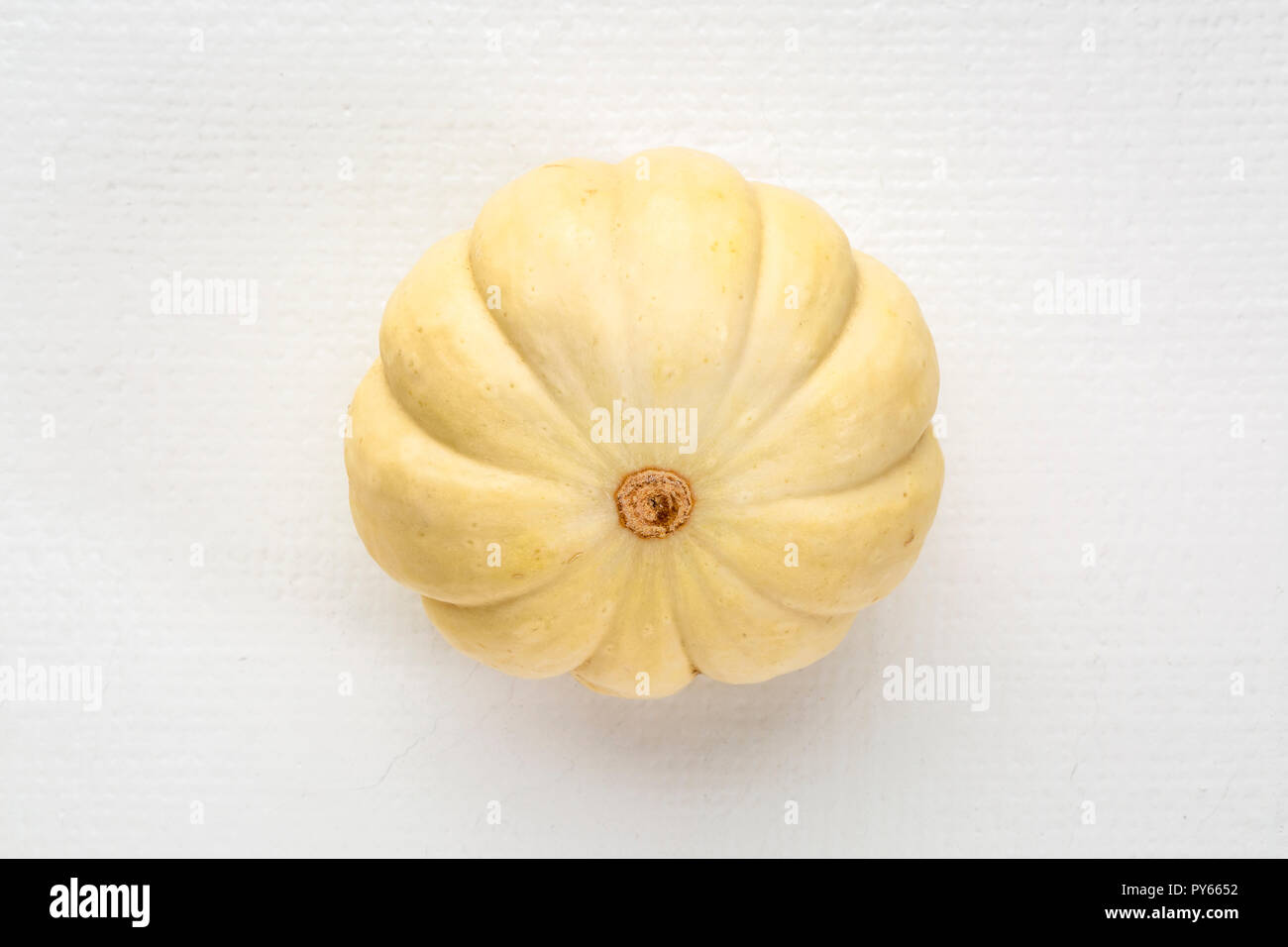 Zierpflanzen Kürbis auf weißer Leinwand mit einer Kopie Raum Stockfoto