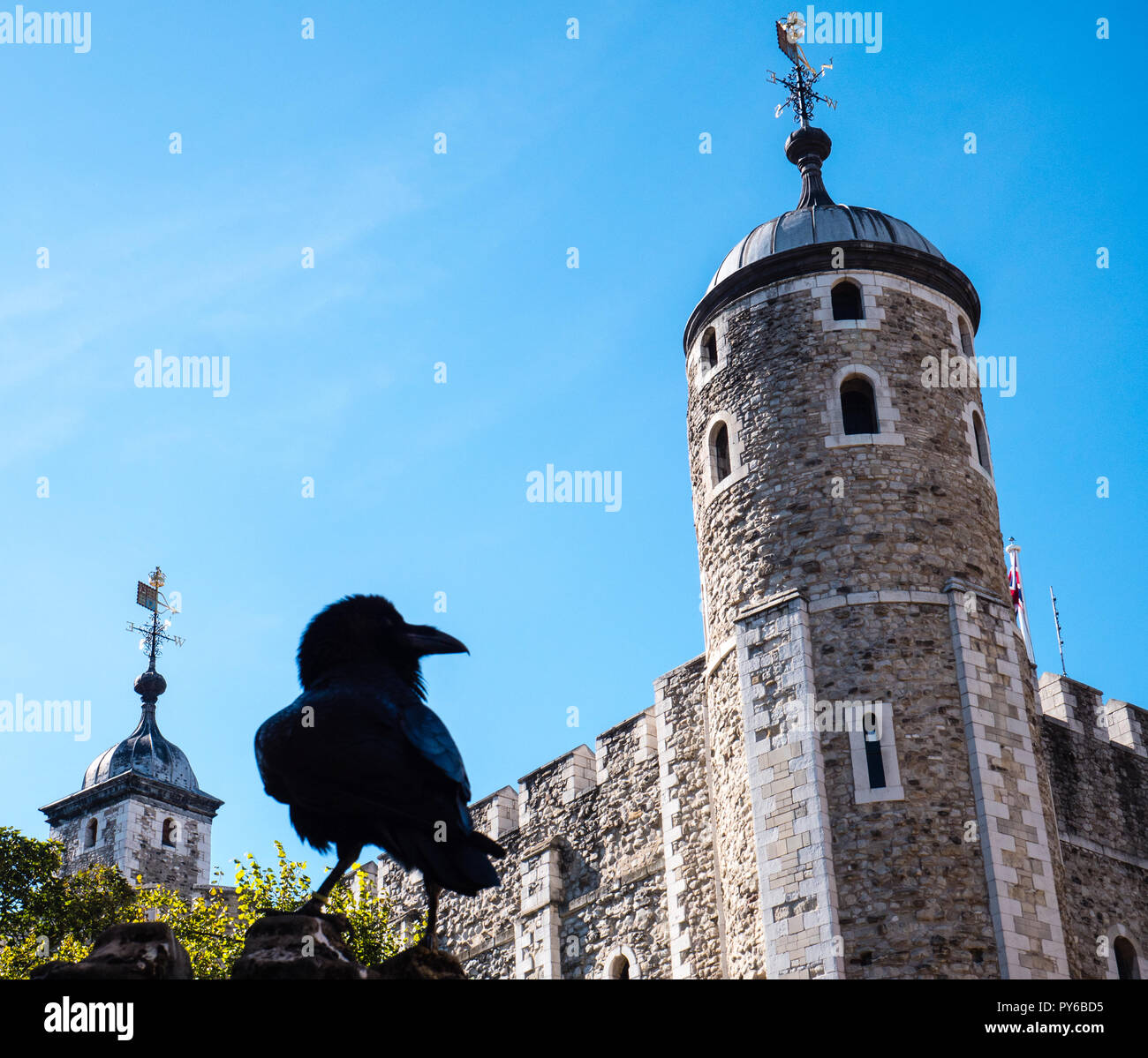 Die Raben Den Tower Von London Muss Nicht Verlassen Oder Turm Fallen Tower Of London London England Uk Gb Stockfotografie Alamy