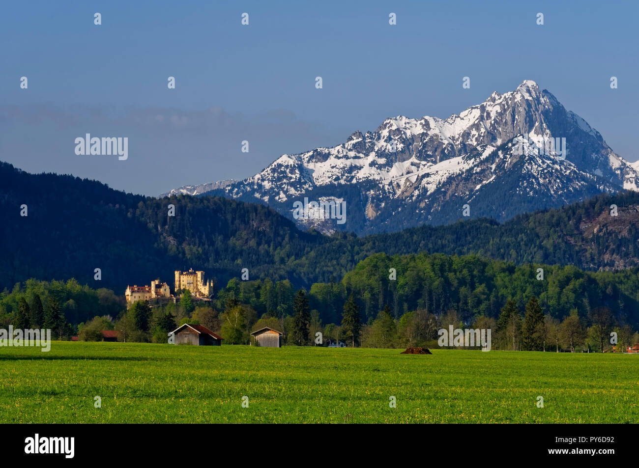 Schloss Hohenschwangau im Allgäuer, Tannheimer Berge im Hintergrund, Landkreis Ostallbräu, Bayern, Deutschland Stockfoto