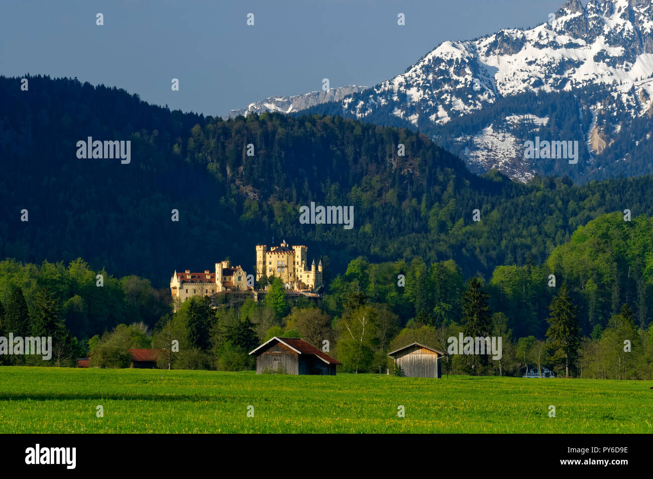 Schloss Hohenschwangau im Allgäuer, Tannheimer Berge im Hintergrund, Landkreis Ostallbräu, Bayern, Deutschland Stockfoto