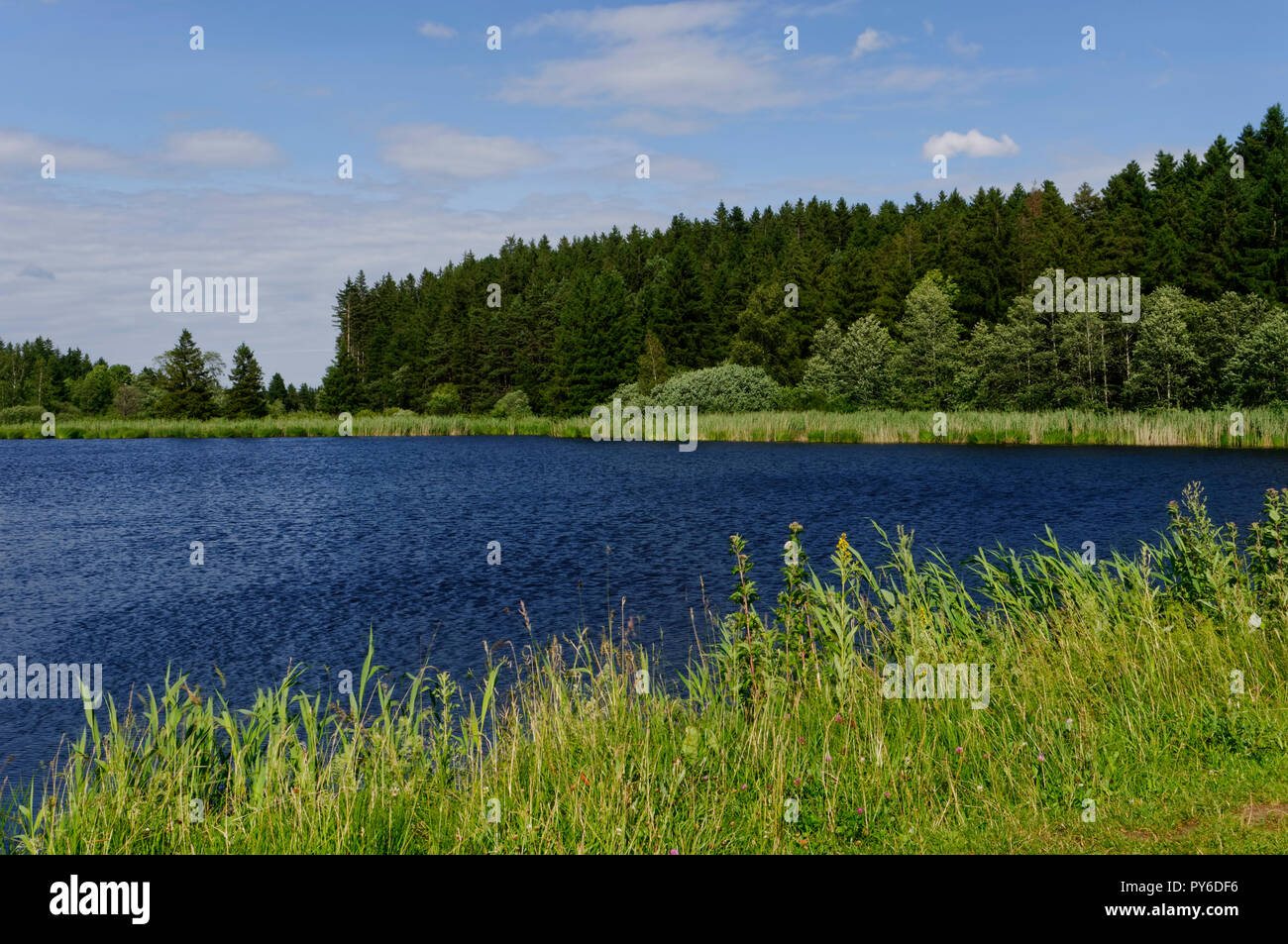 Teich "Kuhstallweiher", ein natürlicher Badeteich bei Marktoberdorf, Landkreis Ostallbräu, Allgäuer, Bayern; Deutschland Stockfoto