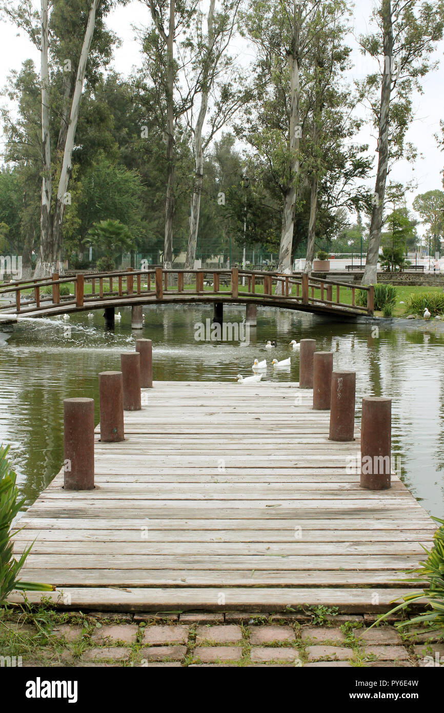 Parque Metropolitano de Ensenada Jalisco Stockfoto