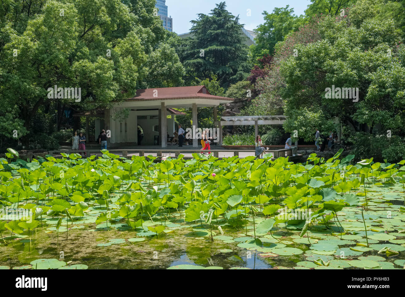 Touristen, die sich in der Peoples Park, Shanghai, China, Asien Stockfoto