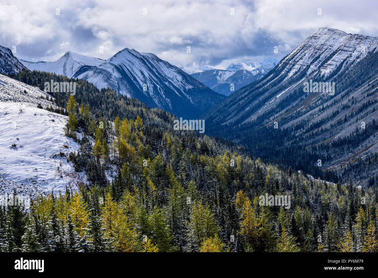 Ptarmigan Cirque im Herbst nach einer überraschung Schneefall die Berge schlagen Stockfoto