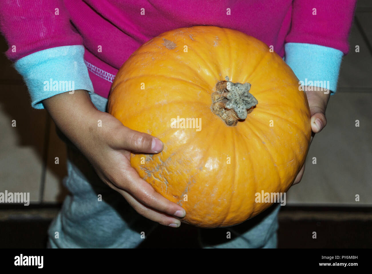 Hände halten einen Kürbis Stockfoto