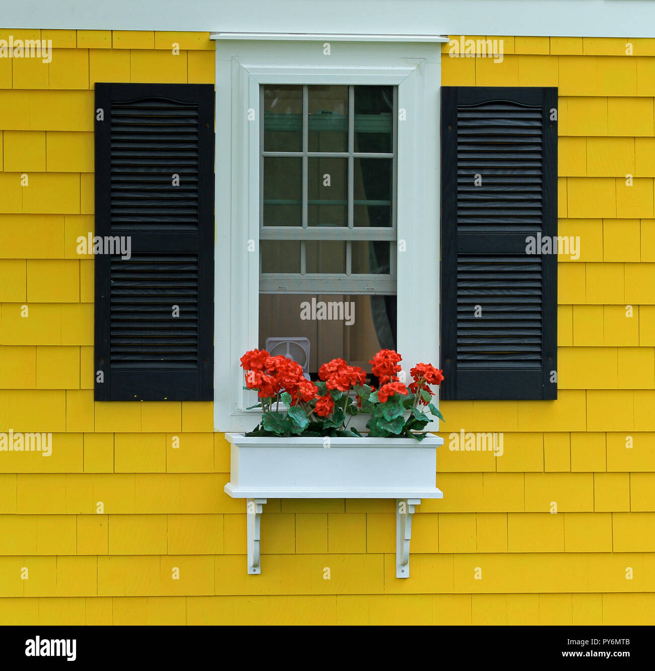 Seitenansicht der gelben, holzverkleideten Künstlershanty mit offenem Fenster, schwarzen Fensterläden und Blumenkästen mit Geranien, Hyannis, Massachusetts, auf Cape Cod Stockfoto
