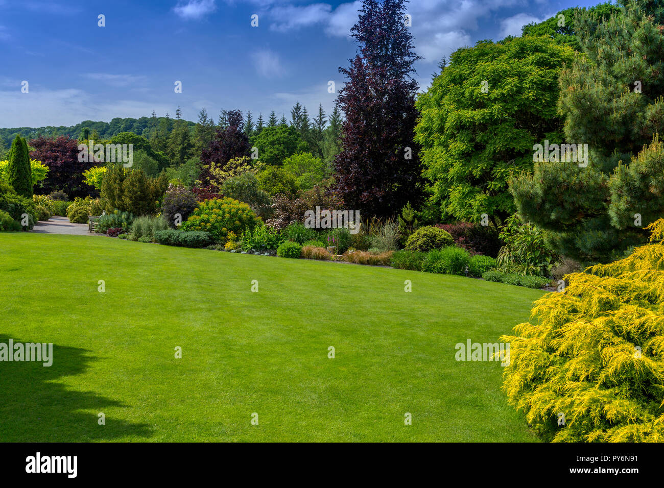 Das Laub Garten an der RHS Garden Rosemoor, Devon, England, Großbritannien Stockfoto