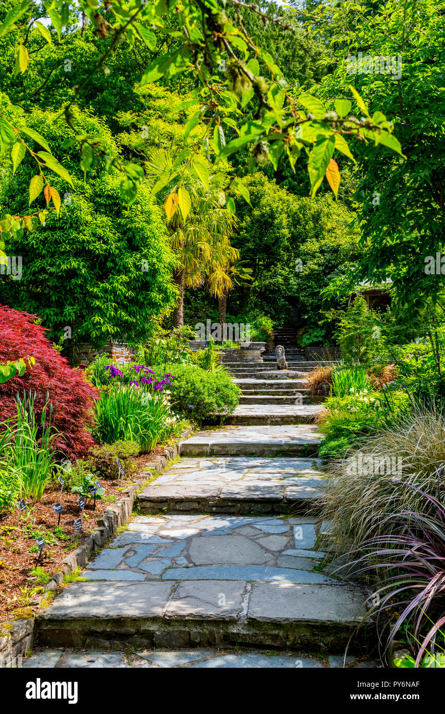 Eine bunte Mischung aus Blüten und Blätter im Stein Garten an der RHS Garden Rosemoor, Devon, England, Großbritannien Stockfoto