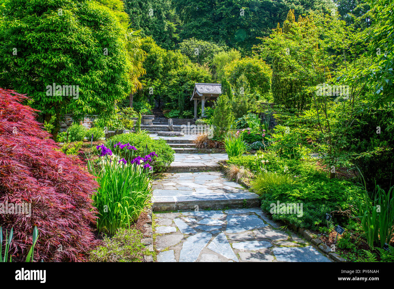 Eine bunte Mischung aus Blüten und Blätter im Stein Garten an der RHS Garden Rosemoor, Devon, England, Großbritannien Stockfoto