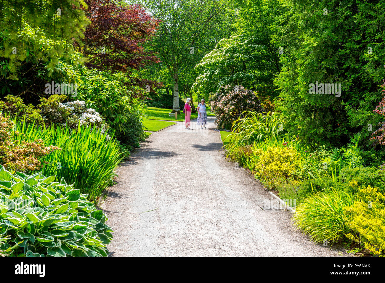 Eine bunte Mischung aus Sommer Blumen und Laub nähert sich Lady Anne Haus an der RHS Garden Rosemoor, Devon, England, Großbritannien Stockfoto