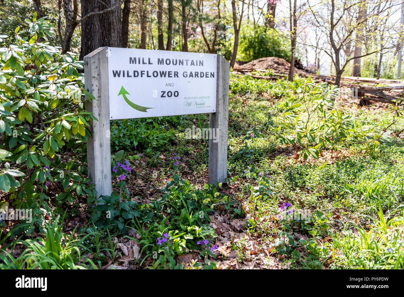 Roanoke, USA - 18. April 2018: Mill Mountain Park in Virginia im Frühjahr mit Zeichen für Zoo, Wildblumen Garten, niemand Stockfoto