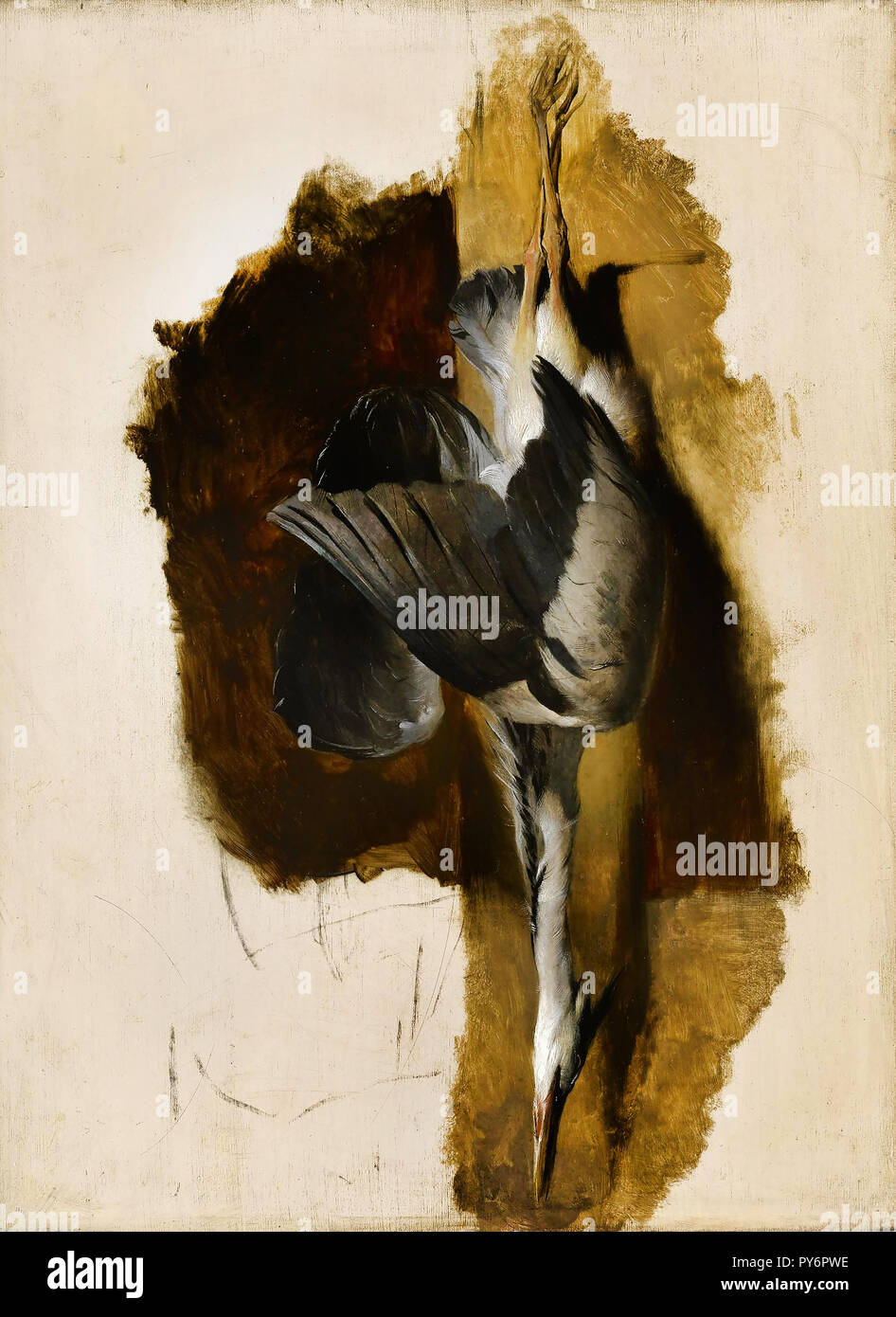 Edwin Henry Landseer, Studie von einem Toten Heron, ca. 1832 Öl auf Leinwand, das Museum der feinen künste, Houston, Texas, USA. Stockfoto