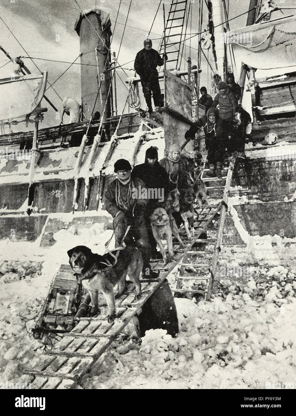 Vor Unheil überholte die HMS Endurance, die Hunde an Bord kenneled waren. Hier werden Sie sich für Ihre tägliche Übung genommen. Shackleton Expedition Stockfoto