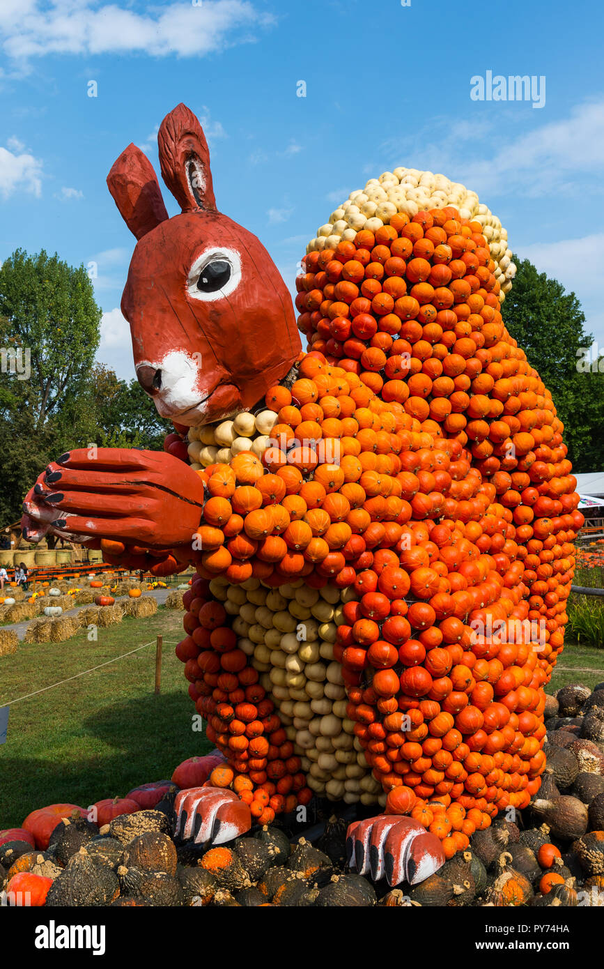 Kürbisse in tierischen Formen angeordnet. Eine Eichhörnchen Figur aus Kürbis. Kürbisfest in Ludwigsburg, Deutschland. September 2018 Stockfoto