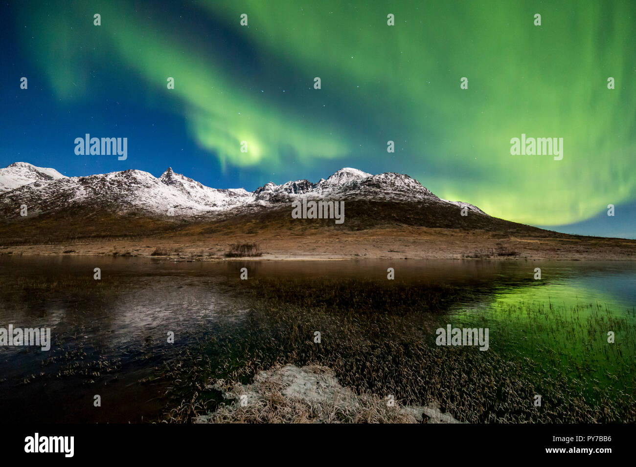 Aurora borealis, Northern Lights, aktive, farbigen Vorhängen, coronas, über Nacht Himmel, Polarkreis, Kvaloya, Insel, Troms, Tromso, Norwegen Stockfoto