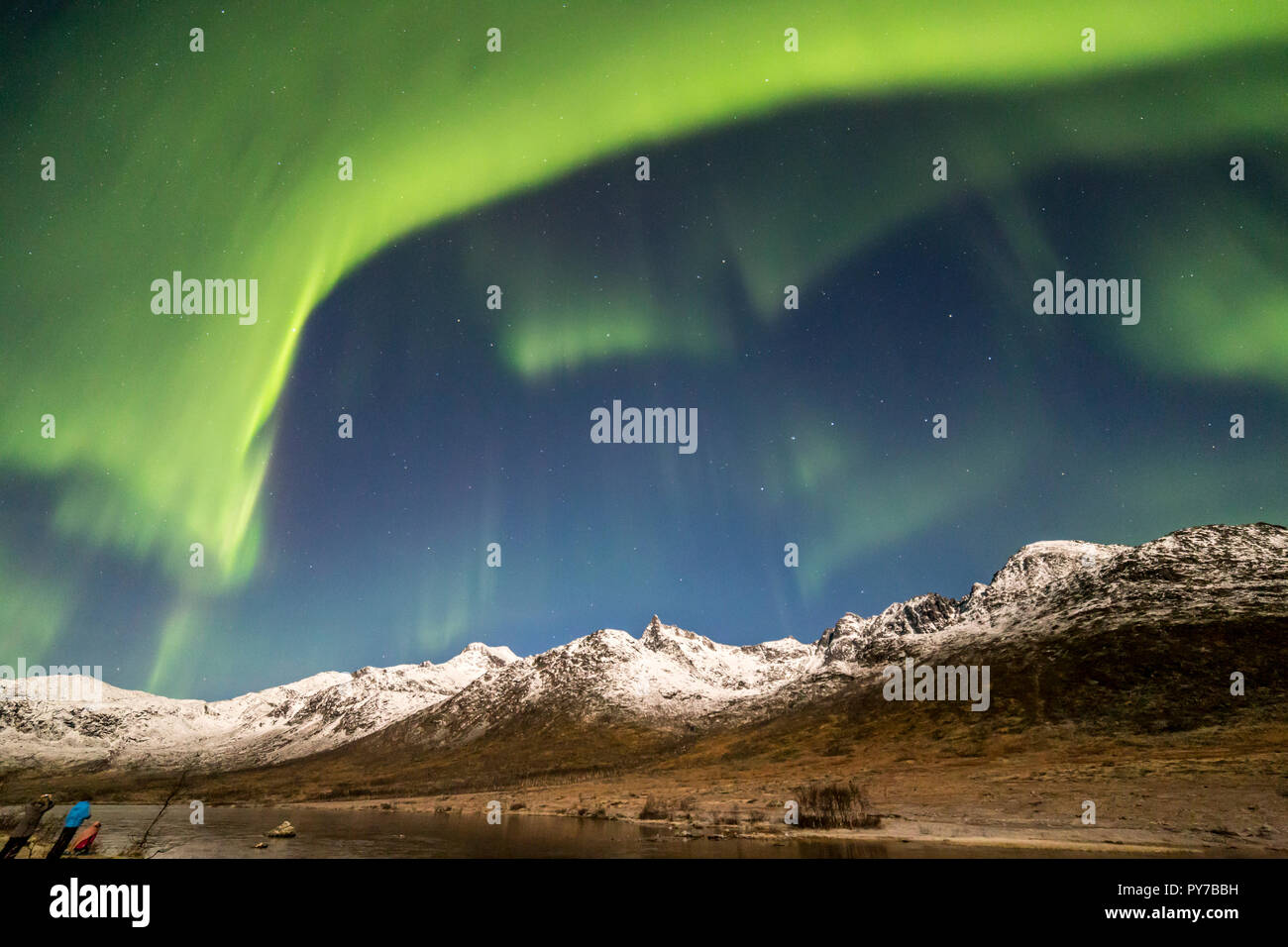 Aurora borealis, Northern Lights, aktive, farbigen Vorhängen, coronas, über Nacht Himmel, Polarkreis, Kvaloya, Insel, Troms, Tromso, Norwegen Stockfoto