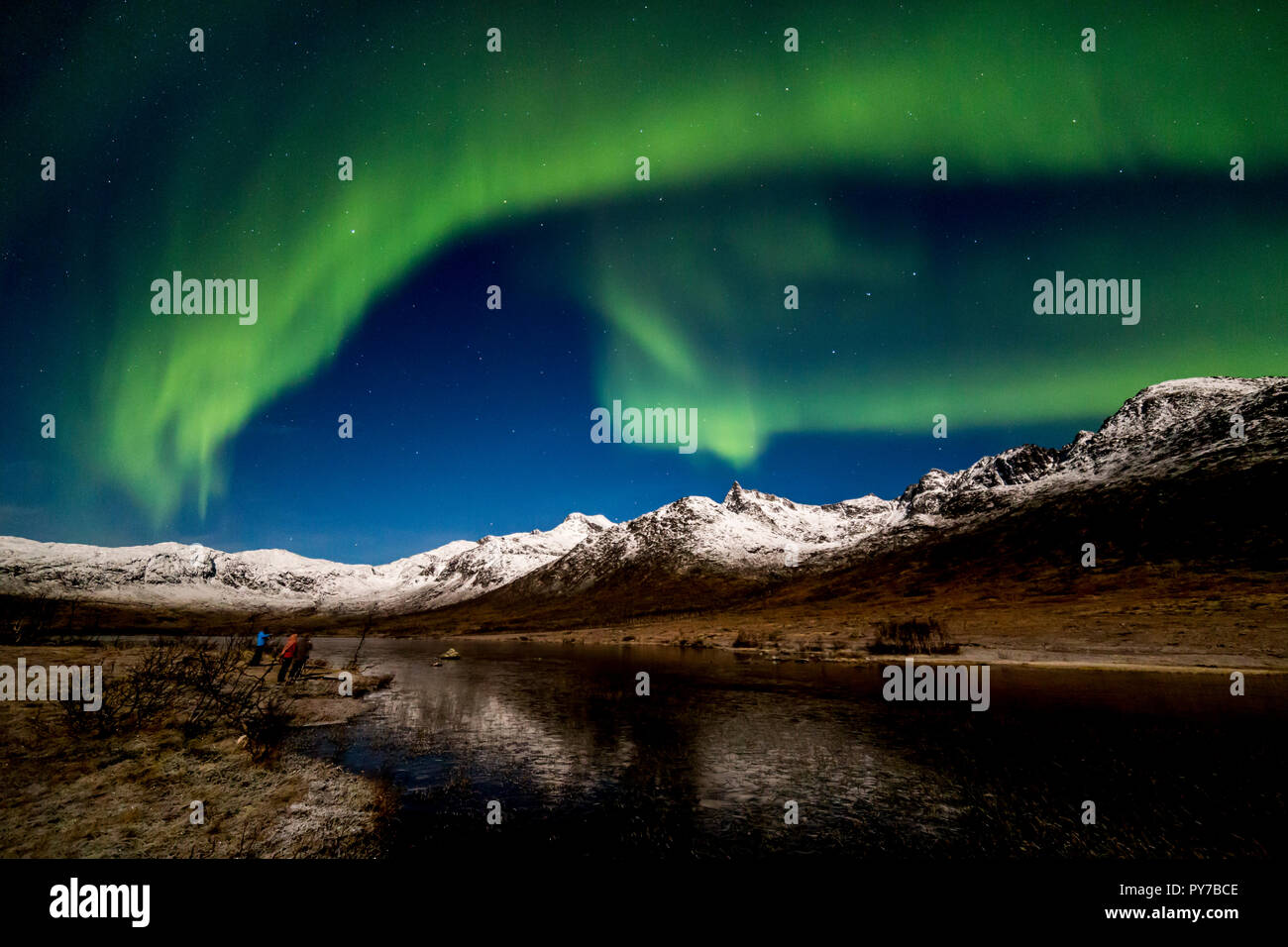Aurora borealis, Northern Lights, aktive, farbigen Vorhängen, coronas, über Nacht Himmel, Polarkreis, Kvaloya, Insel, Troms, Tromso, Norwegen Stockfoto