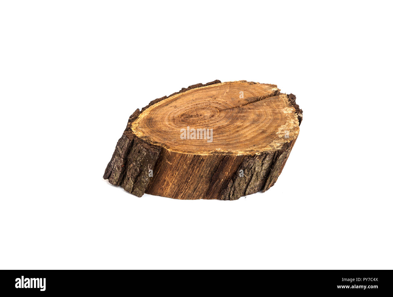 Gefällten Baumes Slice. Holz Textur. Auf weissem Hintergrund Stockfoto