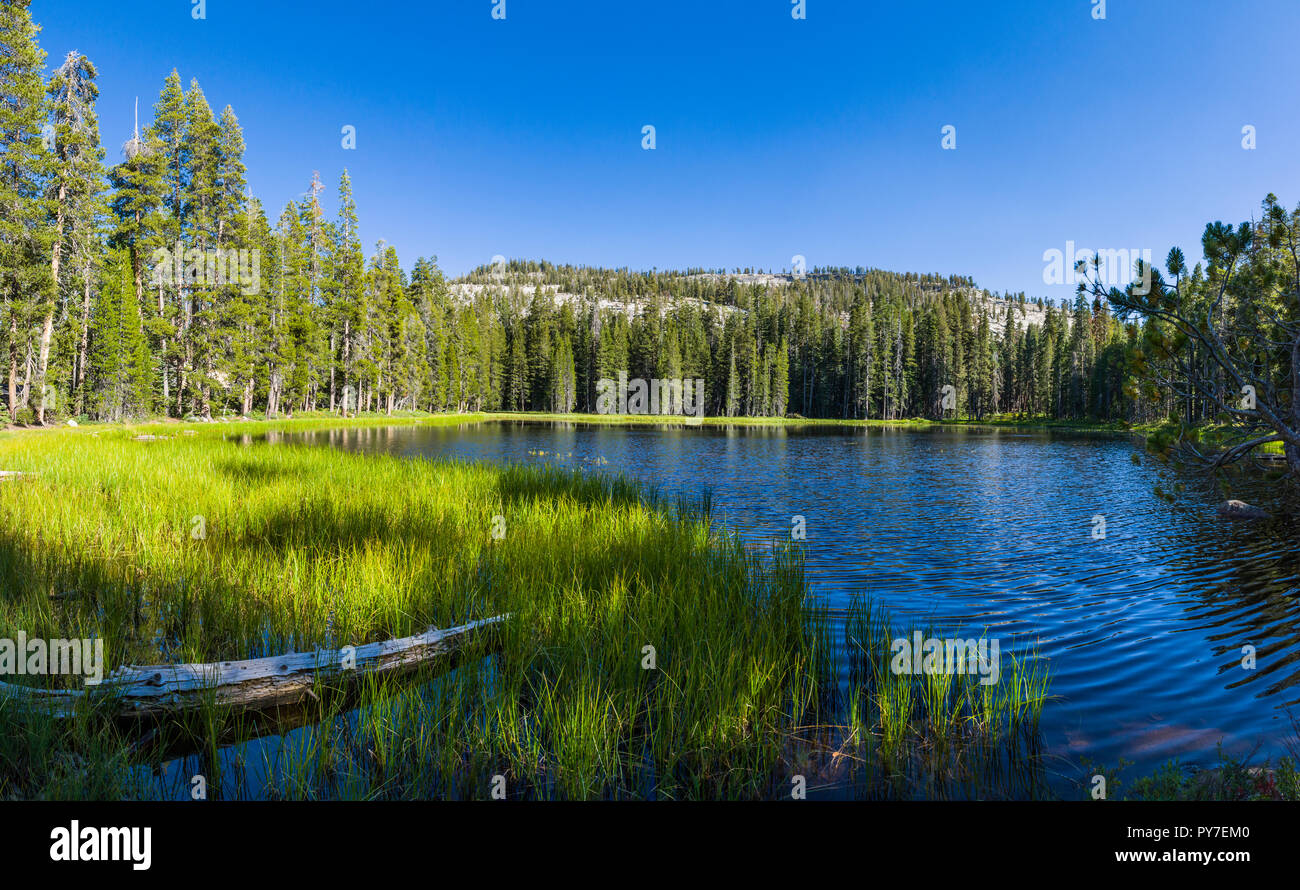 Siesta See, im hohen Land der Yosemite National Park, Kalifornien im Herbst. (Ultra-hohe Auflösung) Stockfoto