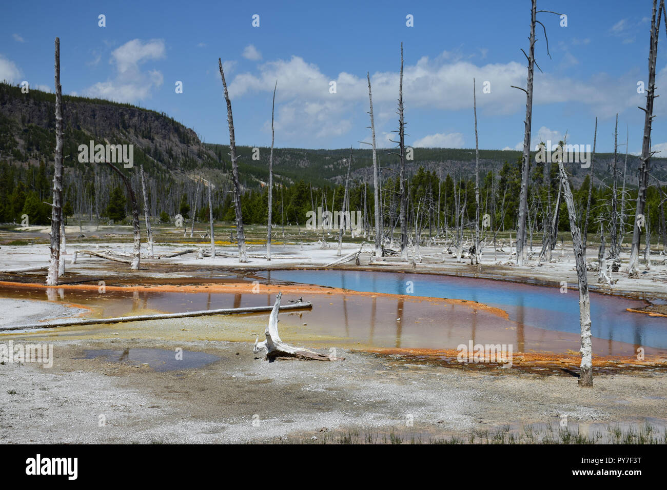 Aktiver Geysir im Yellowstone Nationalpark, USA Stockfoto