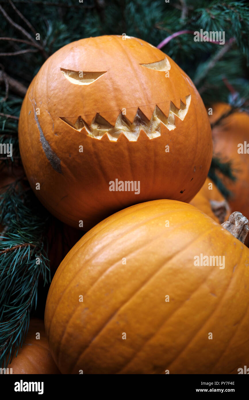 England, London - Halloween geschnitzte Kürbisse zum Verkauf Stockfoto